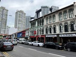 Tanjong Pagar Conservation Area (D2), Shop House #569565281